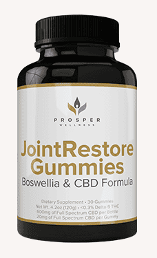 Joint Restore gummies pain relief